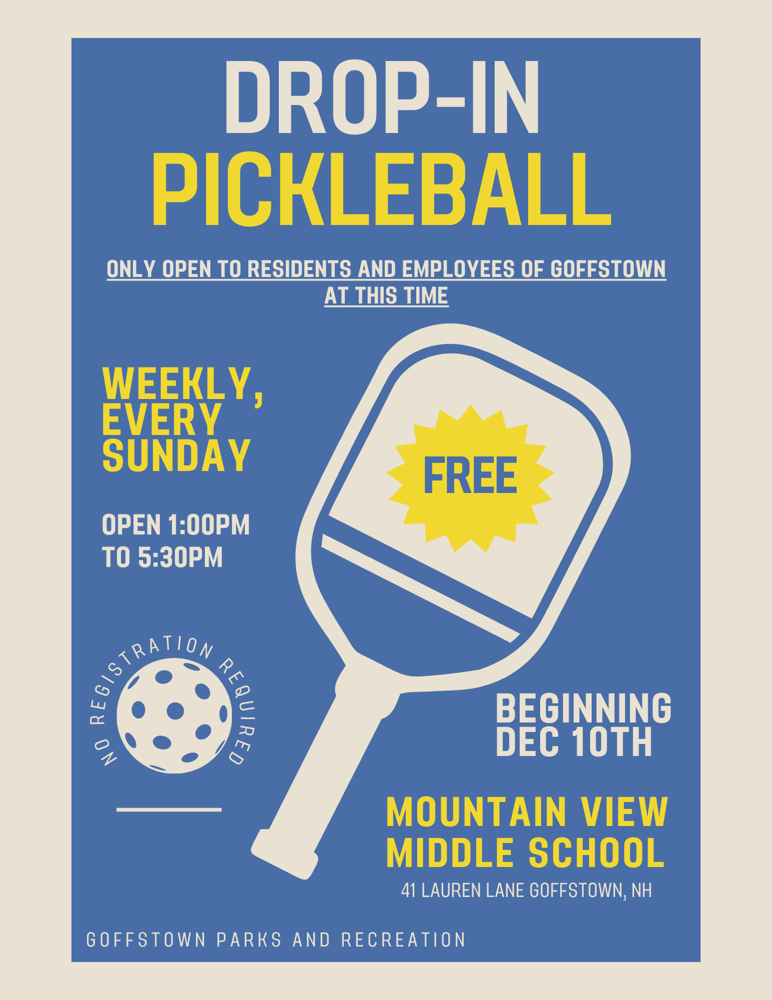 Pickleball Flyer
