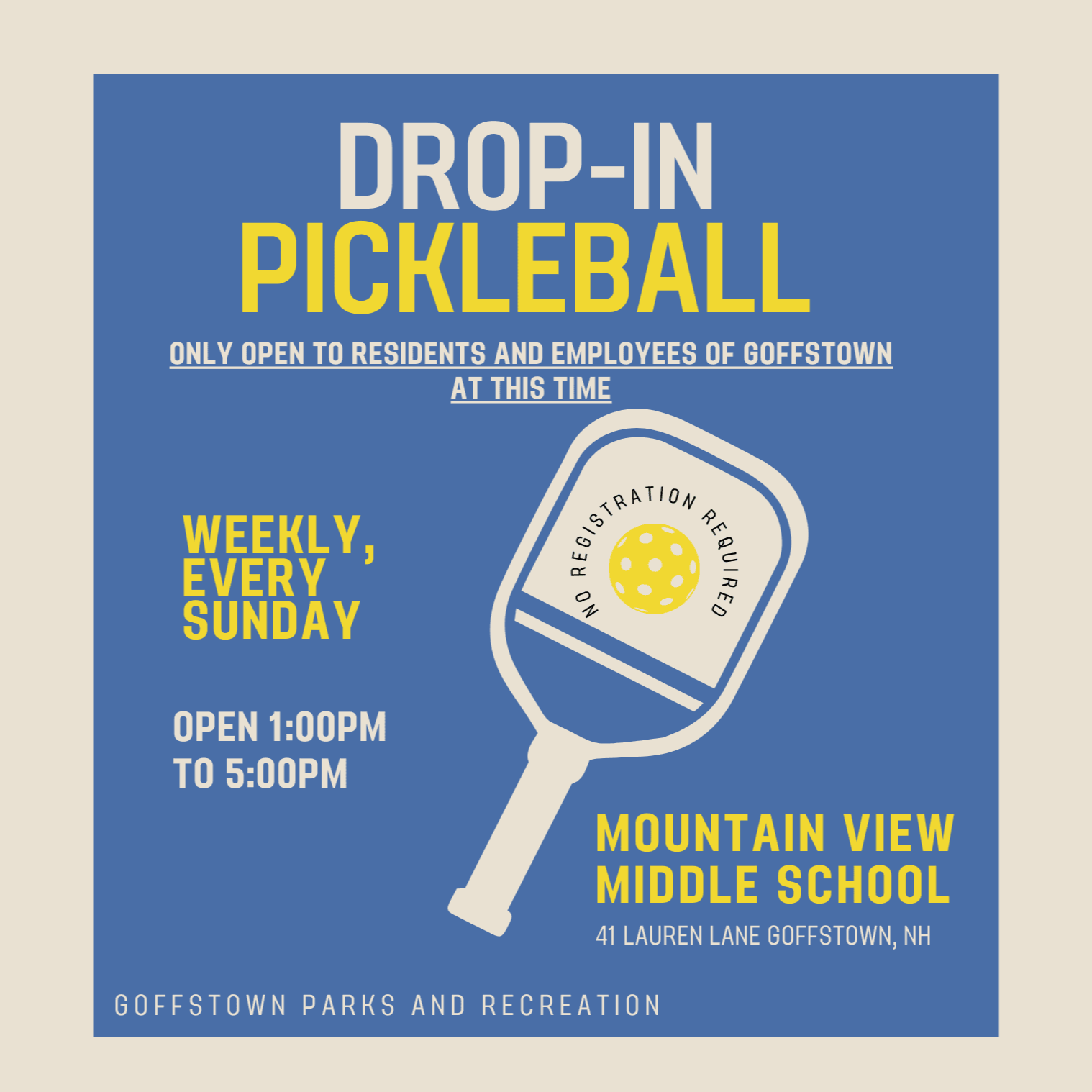 Pickleball Flyer Small