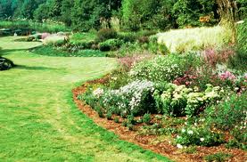 Water yard Opens in new window