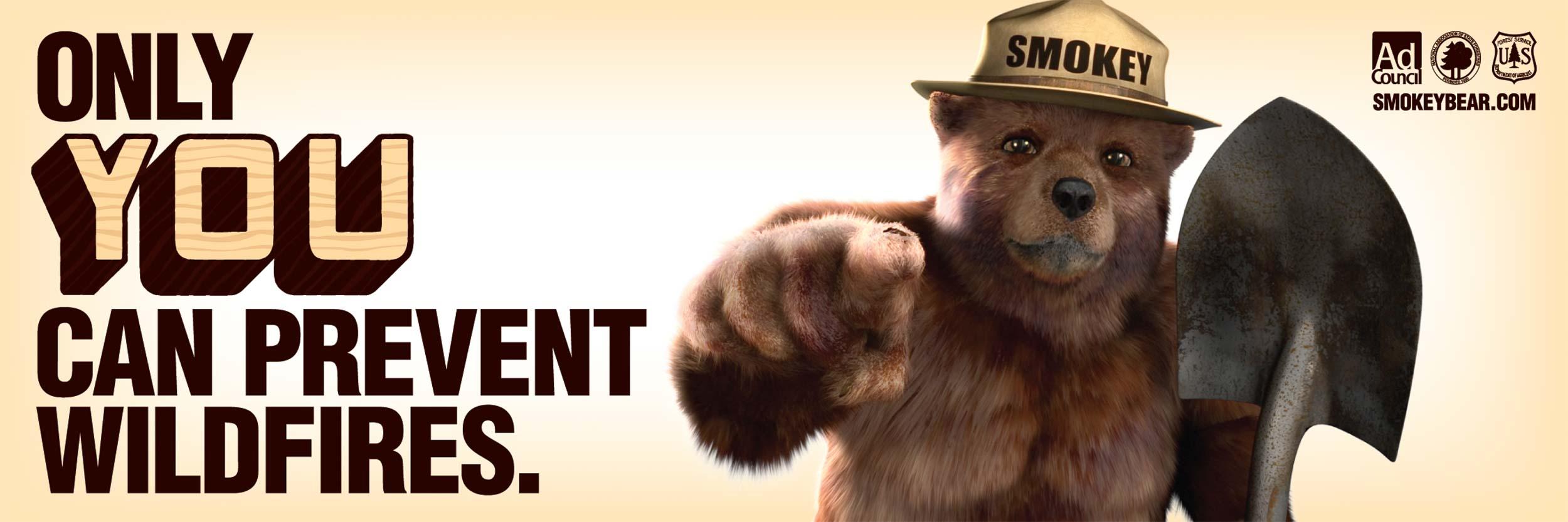 2234-Youtube Smokeybear.