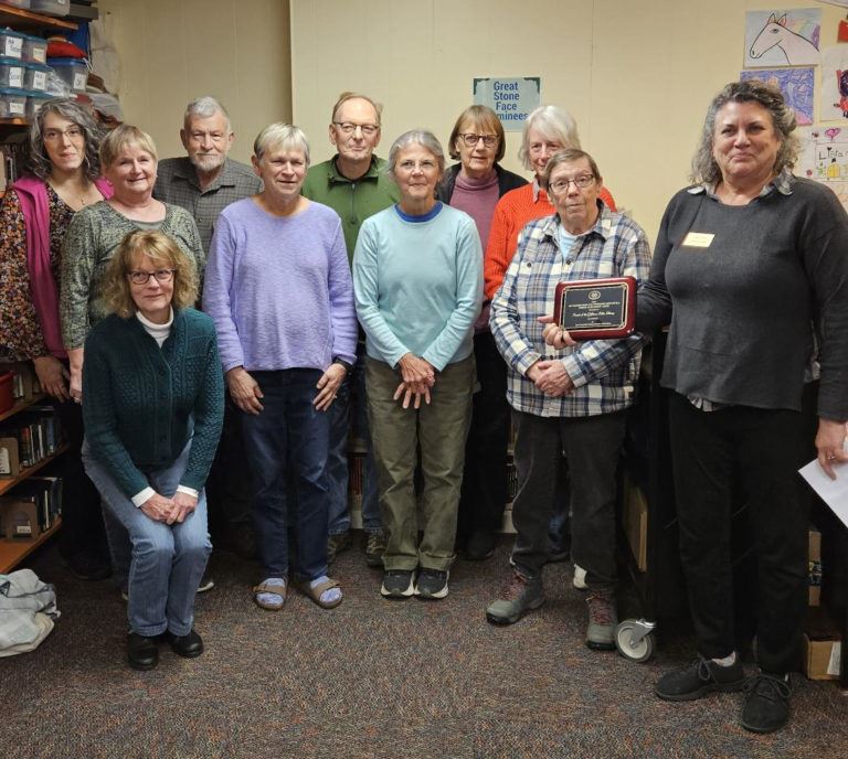 11 smiling people stand to receive an award in the library.